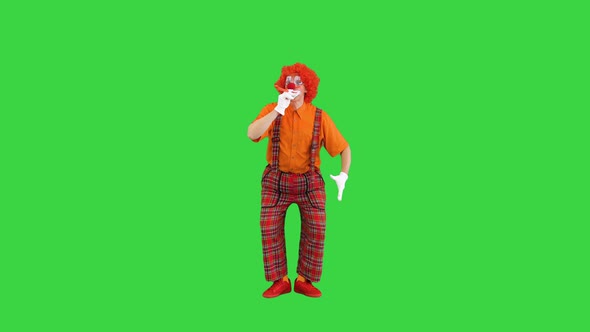 Clown with Red Nose Blowing Party Horn on a Green Screen Chroma Key