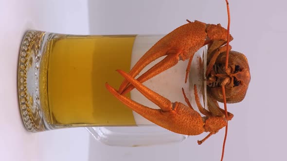 Vertical orientation video: Beer with Red boiled crayfish