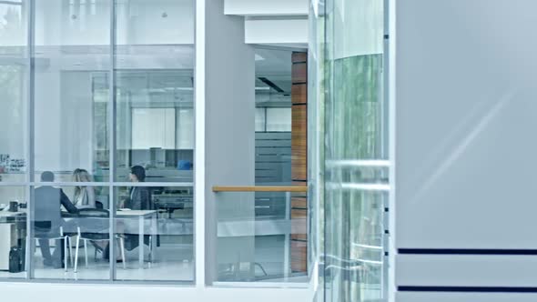 Business Partners on Meeting in Office with Glass Walls