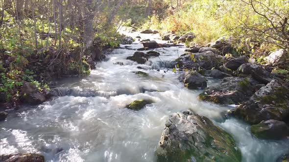 Flight Unmanned Camera Over Mountain River Among Trees Forests Aircraft