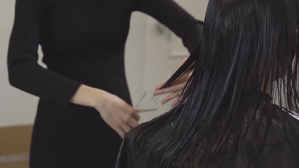 Hairdresser-fashion Designer Shearing Hair To a Young Woman in a Beauty Salon