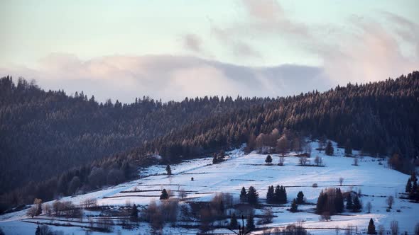 Winter Landscape Clouds Moving Over Spruce Forest at Dusk