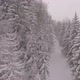Snowy Mountains Winter Forest  - VideoHive Item for Sale