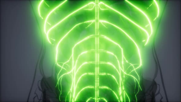 Human Brain Radiology Exam alt