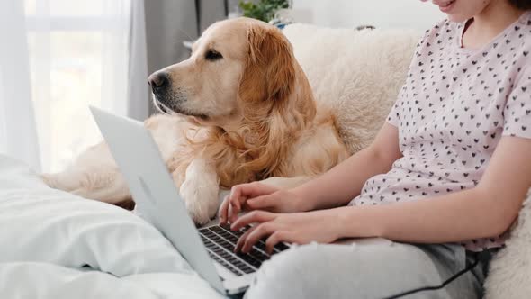 Girl with Laptop and Golden Retriever Dog