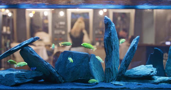 Large Aquarium with Fish Through Which you Can See the Barbershop Where Three Barbers Serve Their