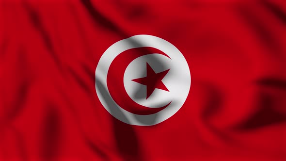 Tunisia Flag Animation Loop Background