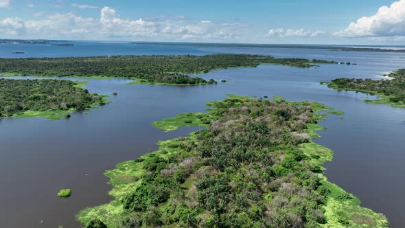 Stunning landscape of Amazon Forest at Amazonas State Brazil.