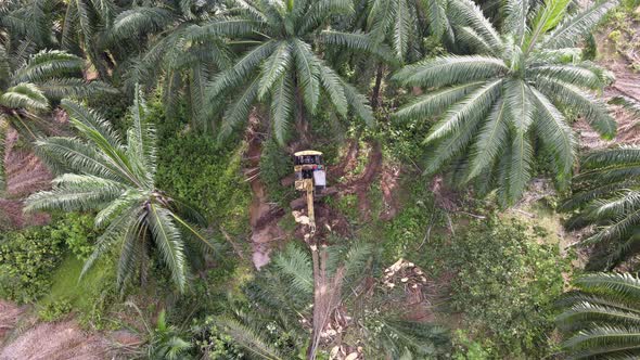 Aerial top down view excavator cut down and clear the oil palm