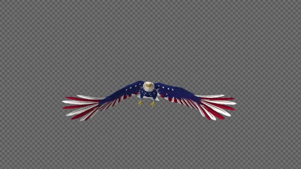 American Eagle - USA Flag - Flying Loop - Front View 4K