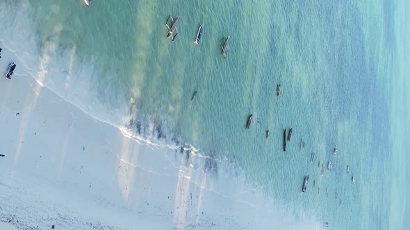 Zanzibar Tanzania  Vertical Video of the Ocean Near the Coast Slow Motion