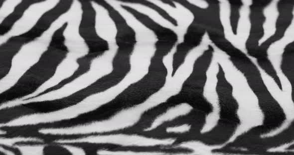 Zebra Fur Fabric Closeup