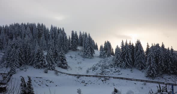 Time Lapse Sunset Snow Trees Mountain - Cheile Gradistei, Fundata, Romania