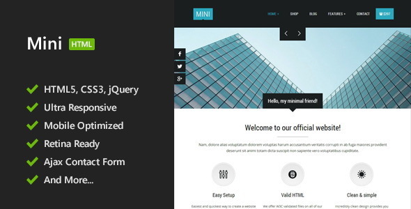 Mini - Unique HTML5 Template