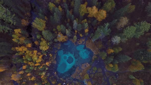 Geyser Lake And Altai Forest