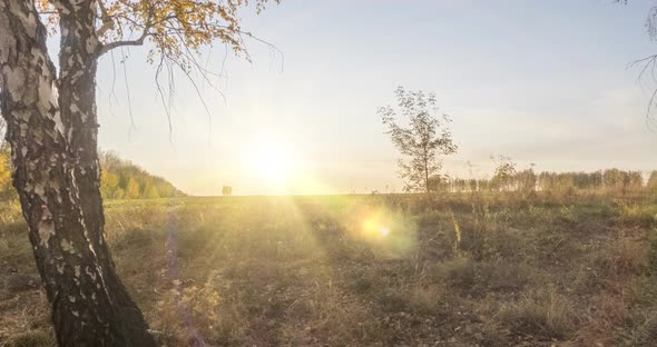 Meadow Timelapse at the Summer or Autumn Time