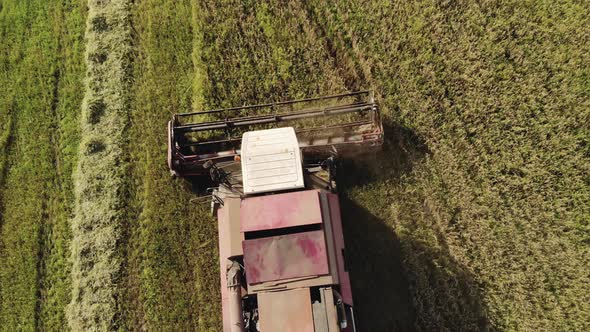 Aerial View of the Combine Harvester Harvesting Oat Field