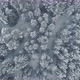 Aerial View of Winter Forest Snow Covered Frozen Trees Top Down Drone Shot - VideoHive Item for Sale