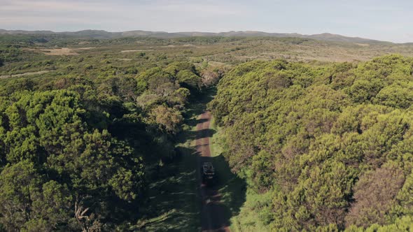 4 wheel drive vehicle driving through forest scenery in Aberdare National Park, Kenya, Africa. Aeria