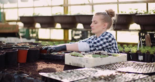 Female Botanist Examining Plants at Grenhouse