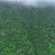 Aerial footage of green foggy forest mountain landscape in summer - VideoHive Item for Sale