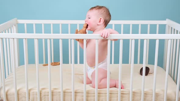 Infant baby boy is sitting in a crib and playing with toys, blue studio background