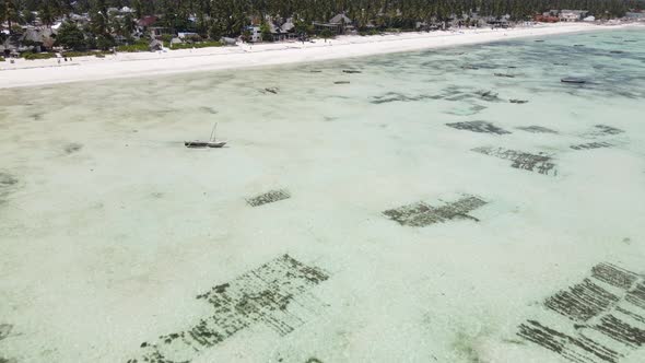 Low Tide in the Ocean Near the Coast of Zanzibar Island Tanzania