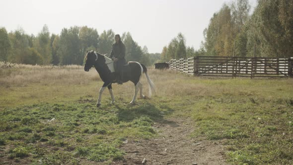 A Young Rider Sets Off Early in the Morning on a Long Horse Ride Through Rough Terrain and Woods.