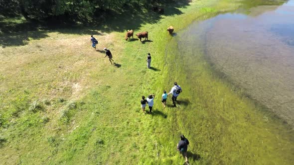 Aerial footage of a small group of refugees in a rural setting with cows.