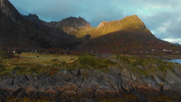 drone shot in norway at the lofoten. A lot of mountains, water and some horses