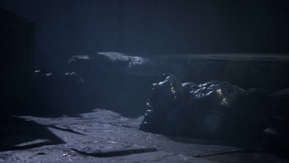 Garbage Bags at City Street an Night alt