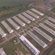 Aerial View of Poultry Farm Among Field - VideoHive Item for Sale