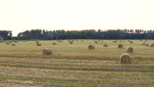 Field Stack Of Hay