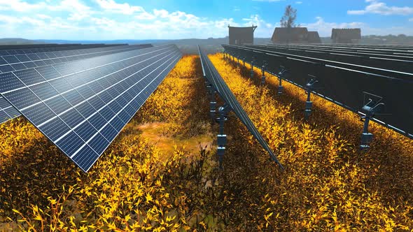 Solar Farm in Meadow