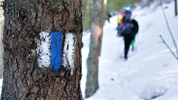 Tree with a sign at a hiking tour in the winter Carpathians, Romania. A group of people with backpac