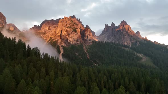 Aerial view of a summer forest with fog and mist