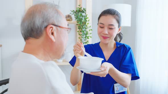 Asian caregiver nurse serve food to senior man while sit on wheelchair.