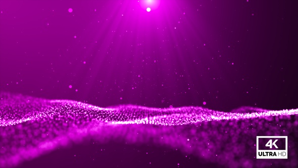 Pink Particles Wave Flow Looped V5