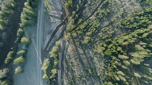 Woodstack piled up next to road, deforestation with large woodpiles, aerial