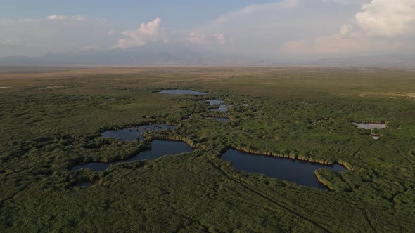 Natural Lake in Middle of Green Forest Scenery