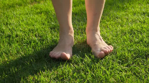 Closeup of Female Bare Feet Standing and Enjoying Fresh Green Grass at Hot Summer Day