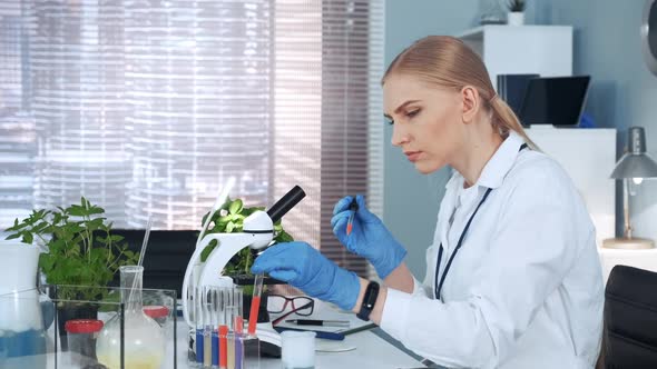 Female Research Scientist Dropping Sample on Microscope Slide and Examining It