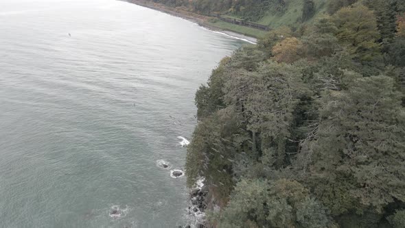 Aerial view of Green cape and Botanical garden in Batumi, Georgia