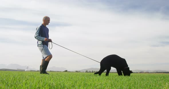 Shepherd dog walking with his owner in the farm 4k