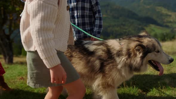 Happy Family Walking Dog on Green Hill Sunny Day