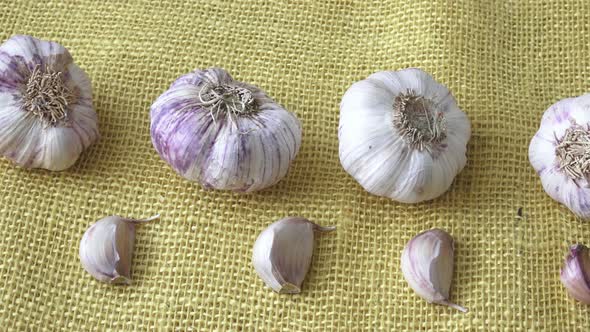 Dry garlic on the yellow jute sack