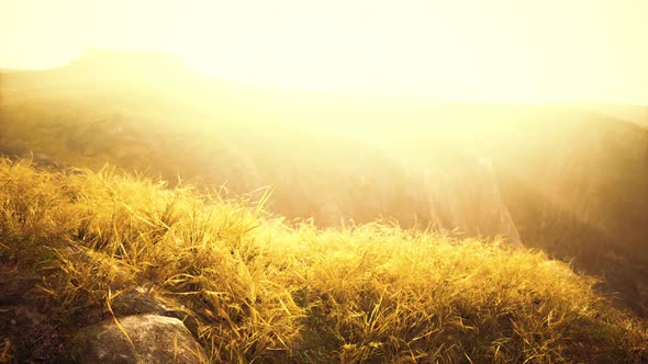 Golden Rocks and Grass in Mountains