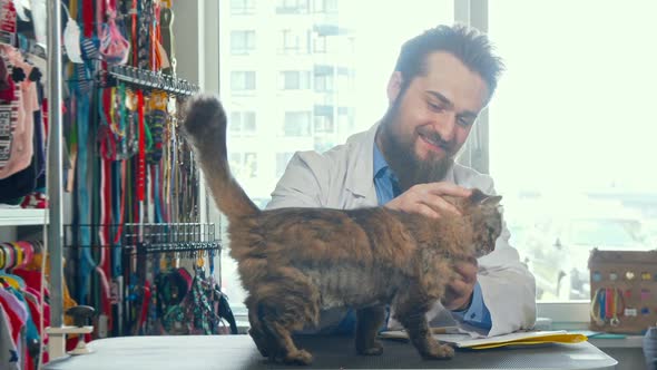 Cheerful Male Vet Doctor Petting Cute Cat at His Clinic