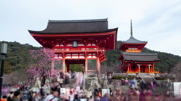 Tourists at Kiyomizudera Temple Entrance Timelapse