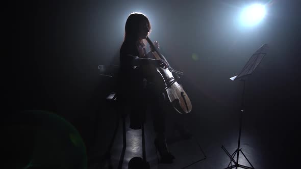Highlight From the Light in a Room Girl Plays the Cello. Silhouette. Black Smoke Background
